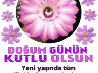 Doğum günün kutlu olsun
