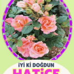 iyiki doğdun Hatice