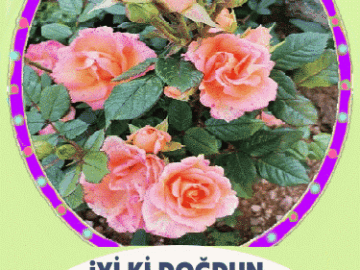 iyiki doğdun Hatice