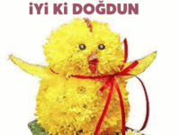 Doğum günün kutlu olsun