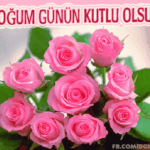Güllerle doğum günü tebrik