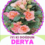 iyiki doğdun Derya