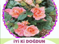 iyiki doğdun Derya