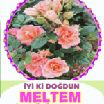 iyiki doğdun Meltem