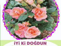 iyiki doğdun Meltem
