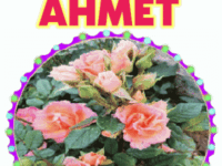 iyiki doğdun Ahmet