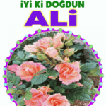 iyiki doğdun Ali