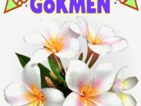 iyiki doğdun Gökmen