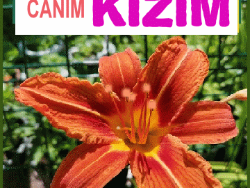 iyiki doğdun Canım Kızım