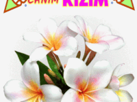 iyiki doğdun Canım Kızım