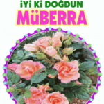 iyiki doğdun Müberra