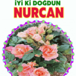 iyiki doğdun Nurcan