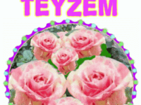 iyiki doğdun Teyzem