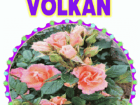 iyiki doğdun Volkan