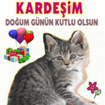 İYİKİ DOĞDUN KARDEŞİM
