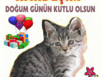 İYİKİ DOĞDUN KARDEŞİM