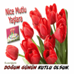 Kırmızı güller doğum günü gif resim