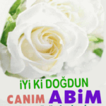 iyi ki doğdun Canım Abim