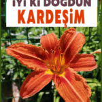 iyiki doğdun Kardeşim
