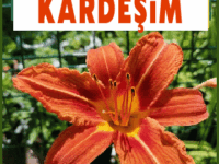 iyiki doğdun Kardeşim