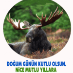Doğum Günün Kutlu Olsun