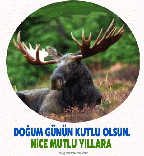 Doğum Günün Kutlu Olsun