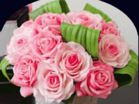 Doğum günün kutlu olsun