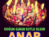 iyiki doğdun Anar