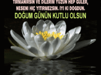 Doğum günün kutlu olsun