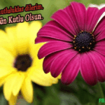 Doğum günün kutlu olsun