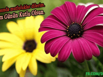 Doğum günün kutlu olsun