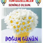 Papatyalı doğum günü tebrik gif