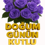 Mor gül doğum günü tebrik gif