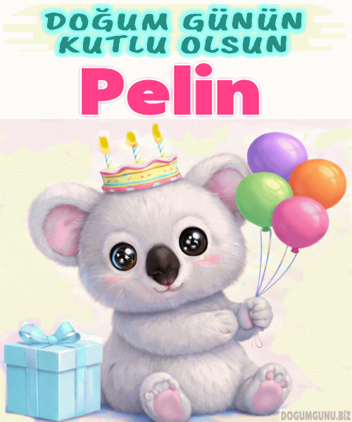 Pelin doğum günü gif